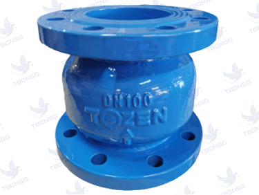 Sản phẩmVan một chiều Tozen lò xo model CSCV-F