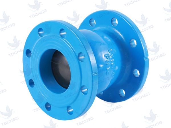 Van một chiều Vasa (check valve)