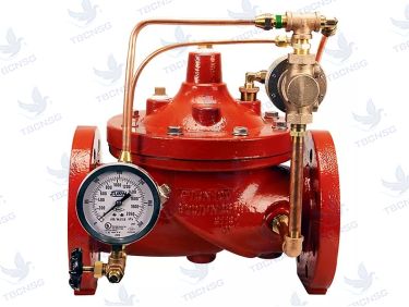 Van xả áp bơm chữa cháy Zurn ZW205FP