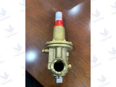 Van xả áp Cla-Val 55L-60
