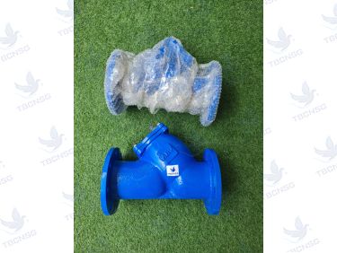 Y Lọc ARV AYS300 tiêu chuẩn PN16