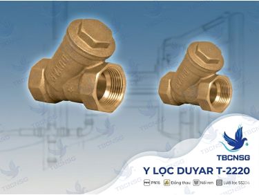 Y lọc Duyar T-2220 Y Type Strainer Brass Threaded PN 16