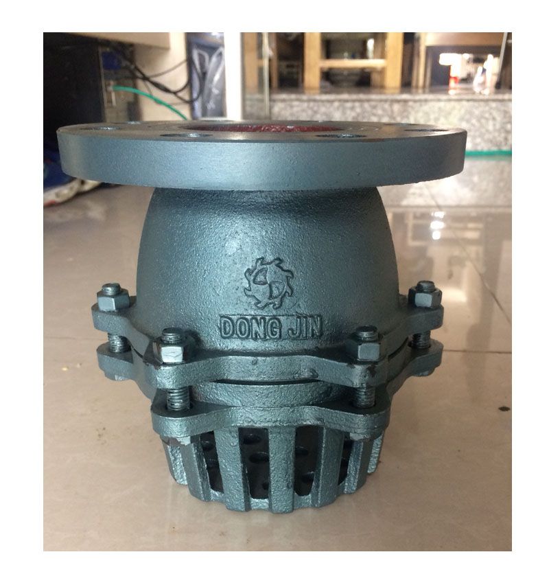 Chõ bơm Dongjin, Rọ bơm Dongjin, Rọ hút Dongjin, Foot valve Dongjin, van luppe Dongjin