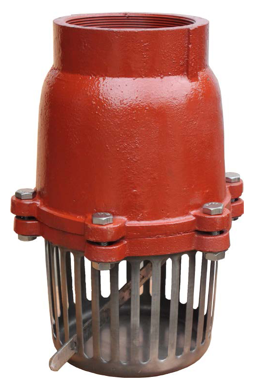foot valve installation