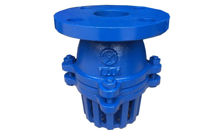 foot valve problems diagram